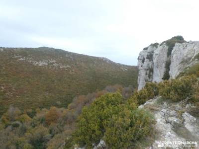 Hayedos Rioja Alavesa-Sierra de Toloño;camino sarria santiago la isla bonita la palma álbum fotos ca